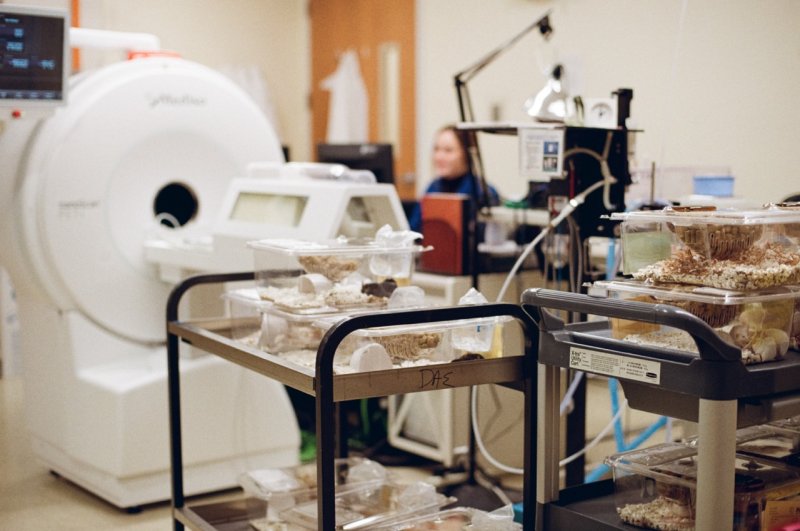 Specimens in Fiona Quimby's UCSF lab