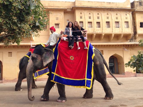 Students riding an elephant