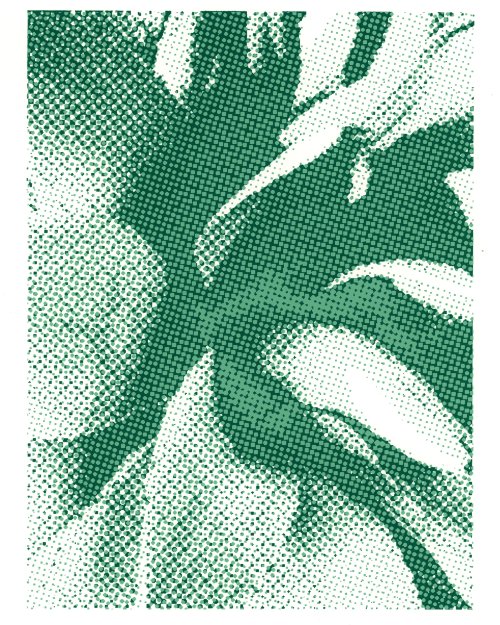 A print of Lydia Miller's