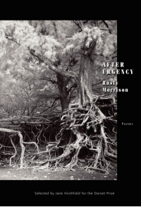 After Urgency book cover