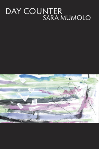 Day Counter book cover