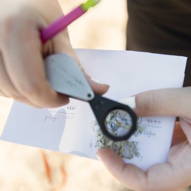 A close up of a student's hands holding a paper and microscope looking at a small sample of a tree branch