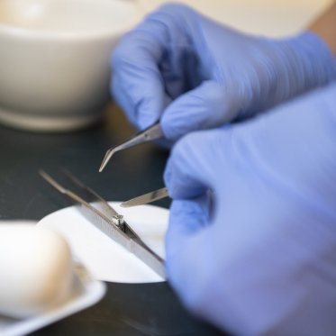 tweezers being held with gloves