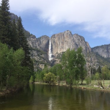 The falls in Yosemite National Park