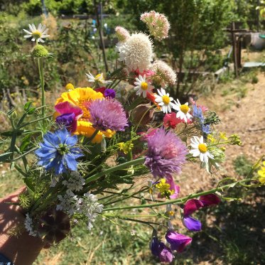 Wild flower bouquet from a garden
