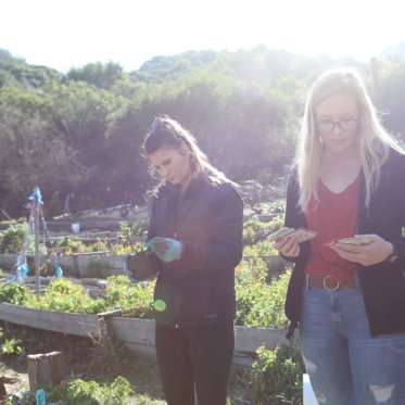 two female presenting students looking at pickings from the legacy garden