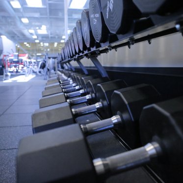 View of the dumbells