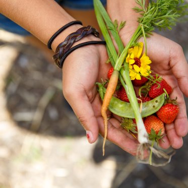 fruit and a flower being presented on the hands of a student