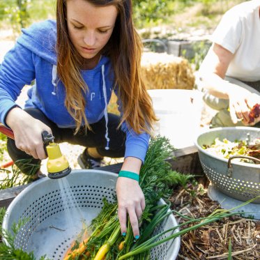 two students washing produce from the legacy garden