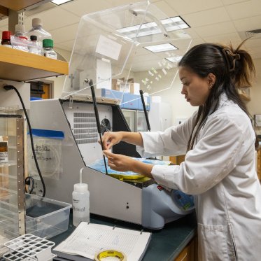 Science student processing lichen in the laboratory