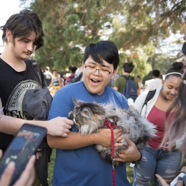 Students petting a cat on the wellness fair