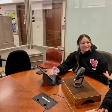 A lady sitting and working on the laptop