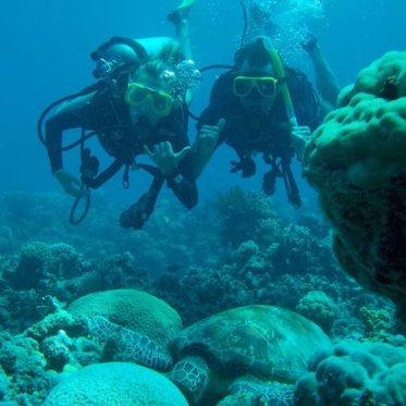 Scuba diving with a turtle