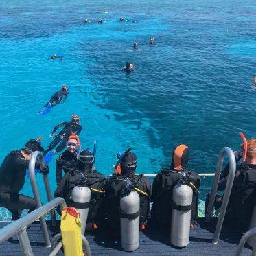 Divers about to jump in