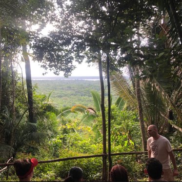 Amazon group overlook