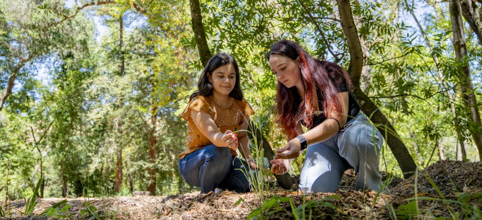 Two students on a path surrounded by trees are looking at a patch of tall grass 