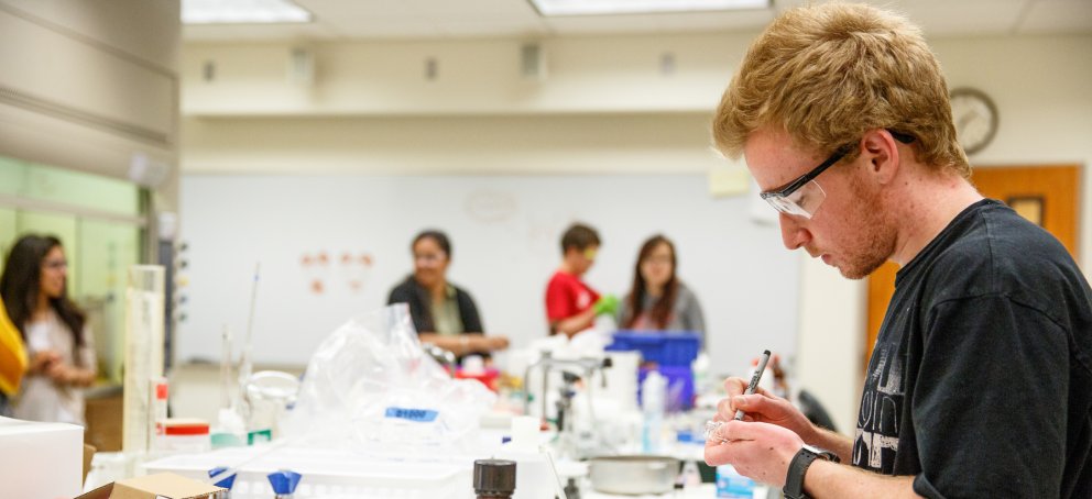 Students in a lab are conducting an experiment 