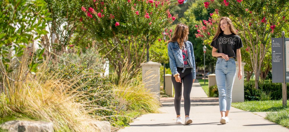 Students walking on campus during the spring talking 