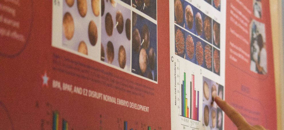 Summer Research Program poster