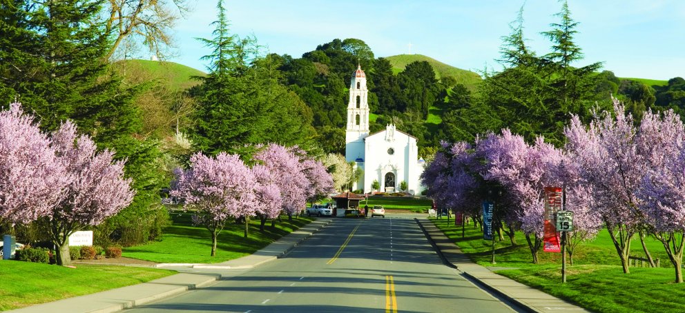 Chapel with cherry blossoms blooming
