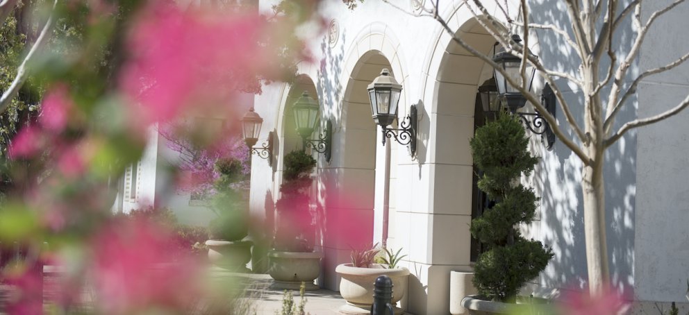 Pink flowers in front of the science building