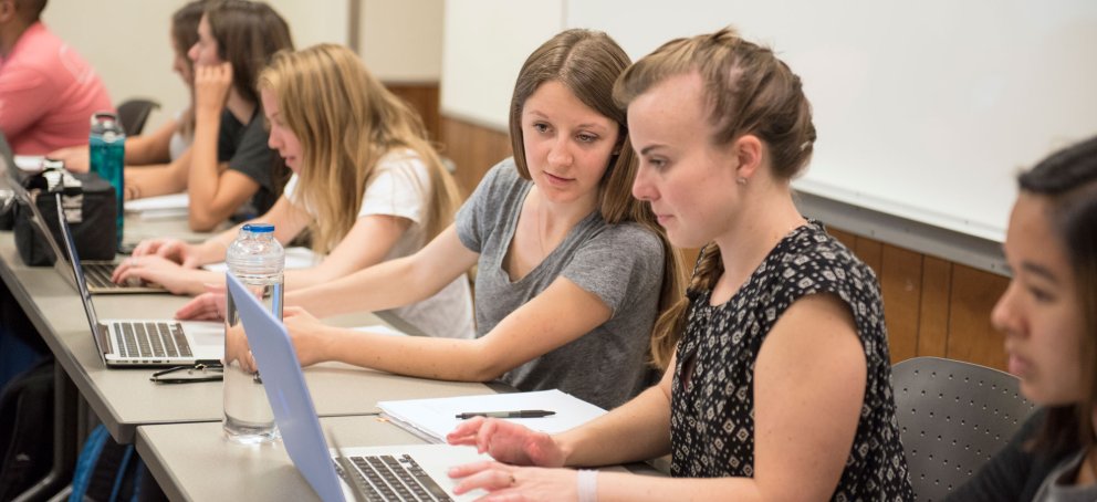 Students in class working together on their computers