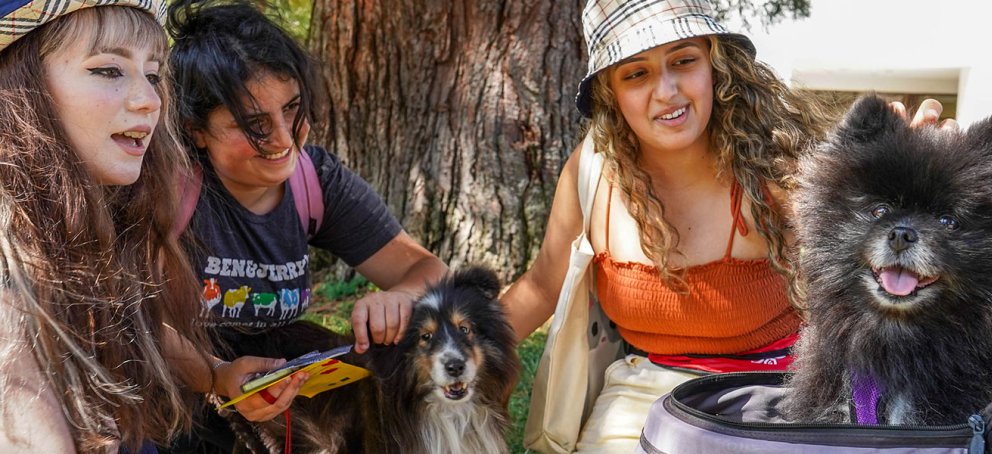 three students and a puppy