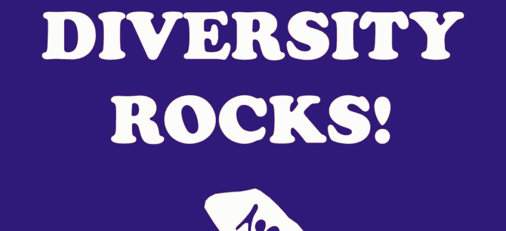 Diversity Rocks!