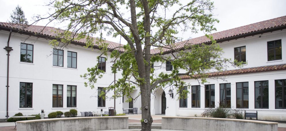 Tree in front of Filippi Academic Hall