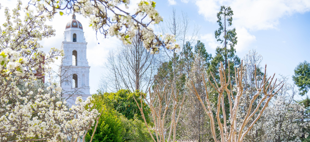 Chapel at Spring Time
