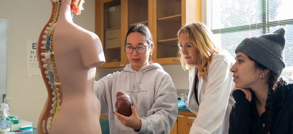 Students looking at a human anatomy model in class