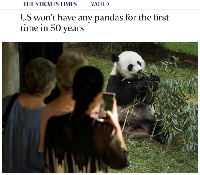 Panda and headline "US won't have any pandas for the first time in 50 years"