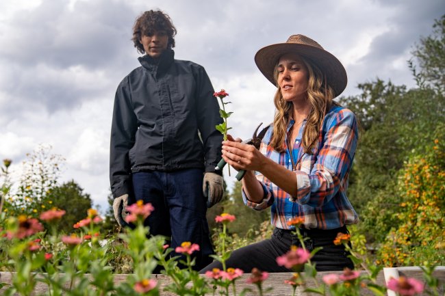 Ann Drevno and garden