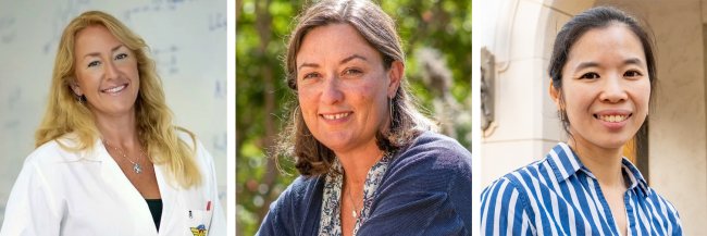 Sonya Schuh, Alice Baldridge, and Amy Chu