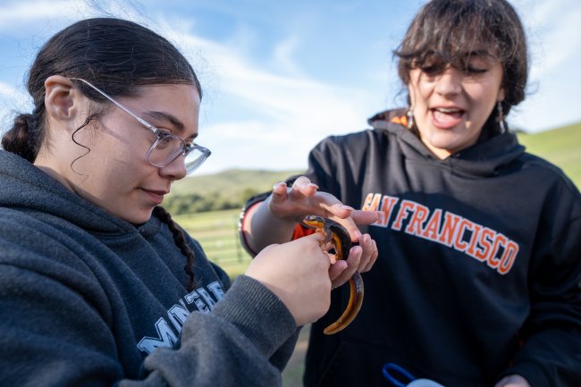 Students in Pesavento's Jan Term class examine a newt