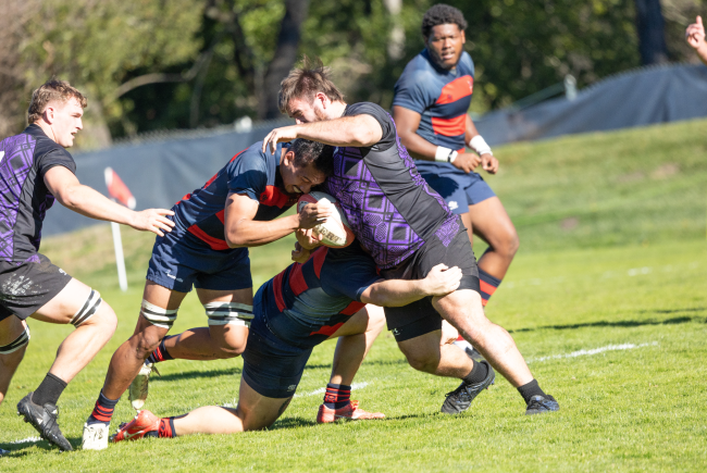 Men's Rugby