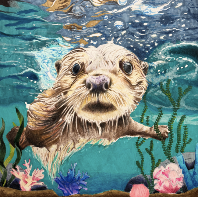 Colored Pencil and Marker art piece of an otter close up, swimming through kelp and reef in turquoise water