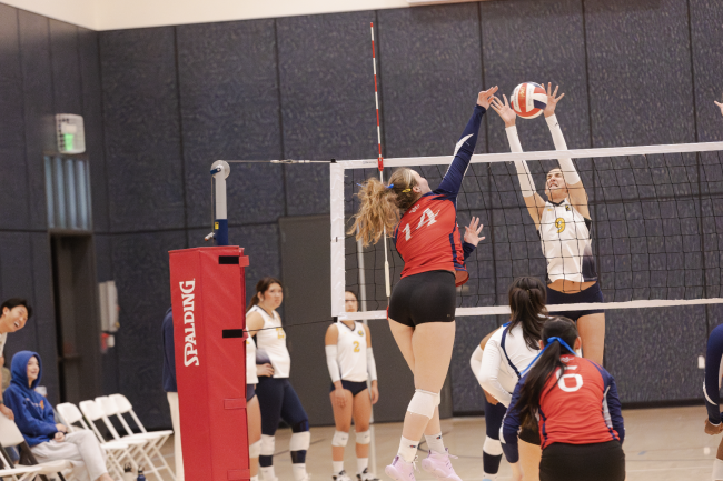 Women's Club Volleyball