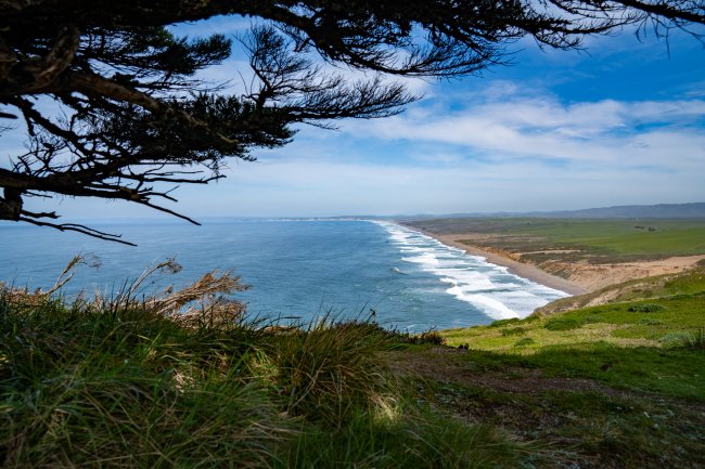 A clifftop view of the Pacific in Point Reyes National Seashore