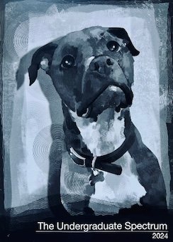 2024 Undergrad Spectrum