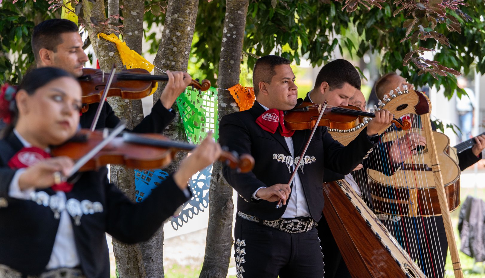 Undergraduate Commencement 2025