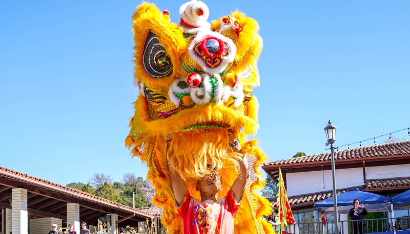 Lunar New Year Dragon