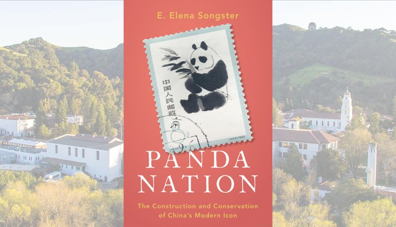 Book cover for Panda Nation by E Elena Songster with image of SMC campus in background