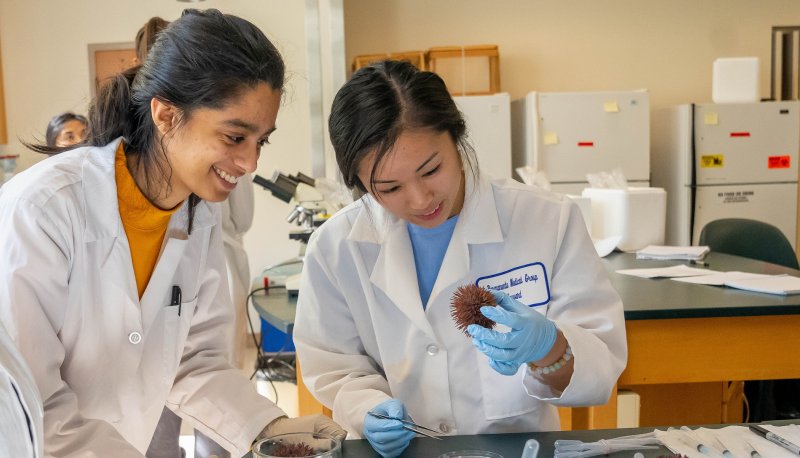 Two students in science lab of Vidya Chandrasekaran
