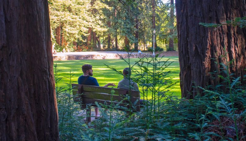 Two participants in 2023 Lasallian DEIB workshop seated on bench in in redwood grove