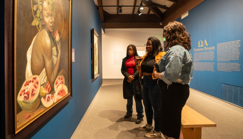 Vistiors at the recent Harmonia Rosales opening at the Museum of Art