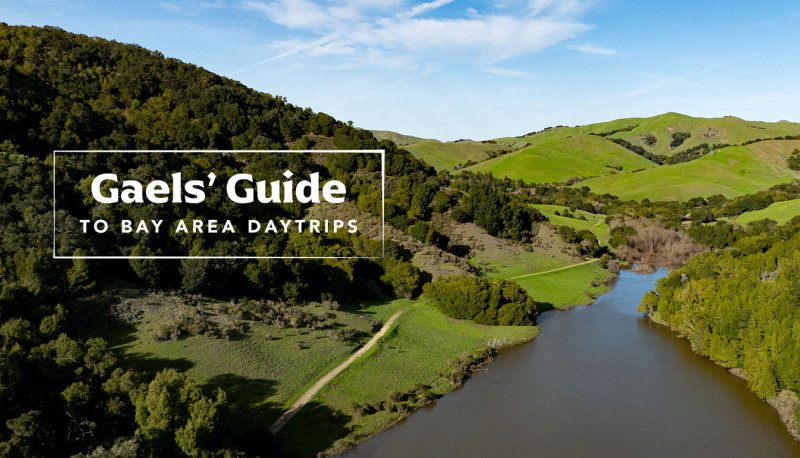 Gaels' Guide to Bay Area Daytrips over Rolling Green Hills of Lamorinda