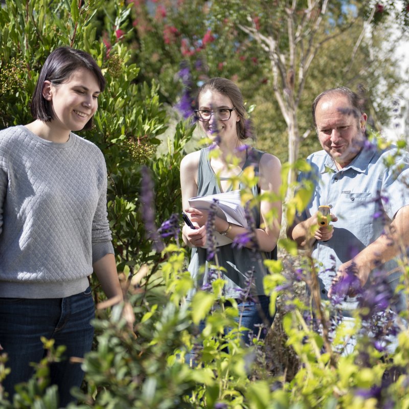 Environmental Studies, BA