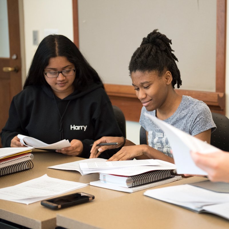 English: Literary Theory and History Concentration, BA