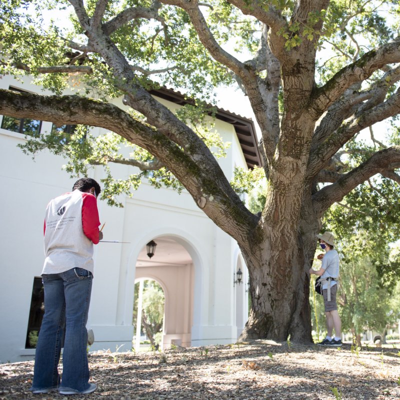 Environmental Science Minor